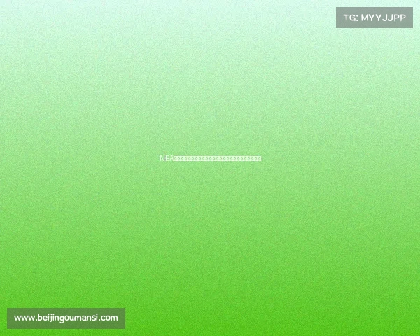 NBA犯规统计分析:球员个人犯规数据及其对比赛结果的影响